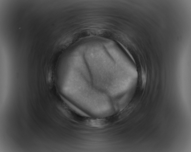 X0000086770134200705041515