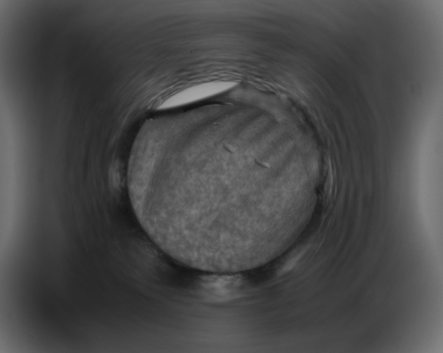 X0000086770135200705041515