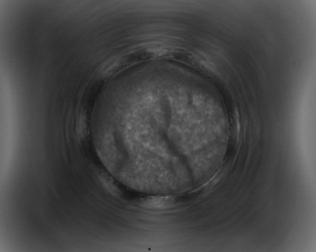 X0000086770136200705041515