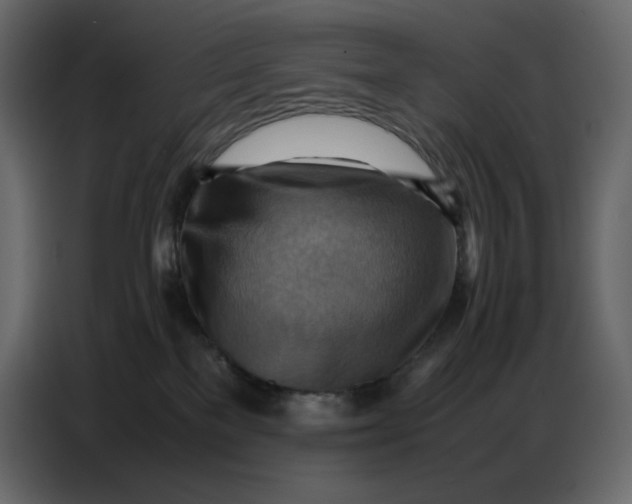 X0000086770137200705041515