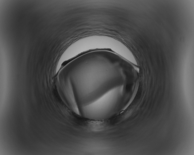 X0000086770139200705041515
