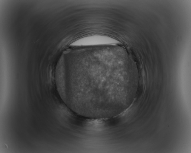 X0000086770140200705041515