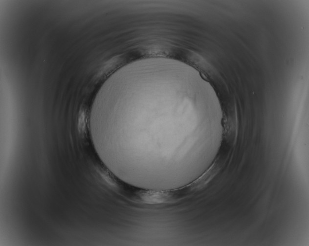 X0000086770142200705041515