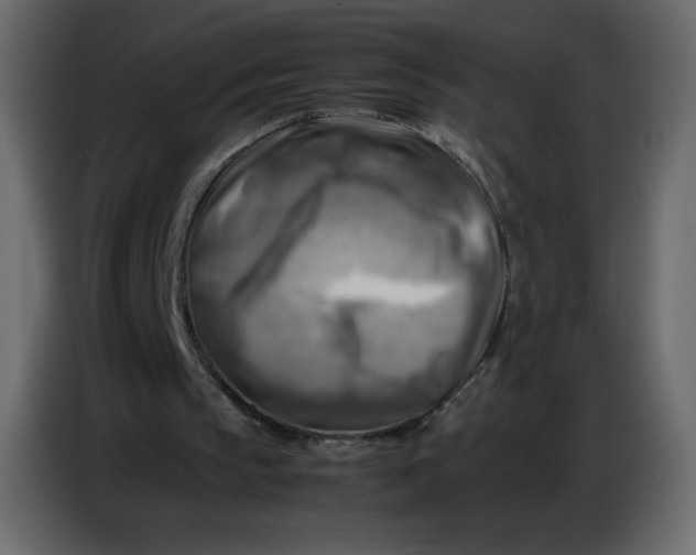 X0000086770145200705041515