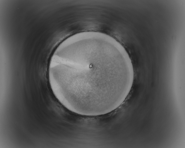 X0000086770146200705041515