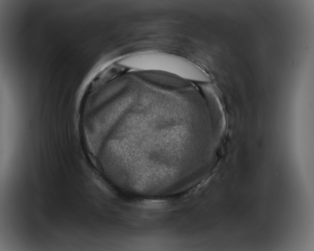 X0000086770150200705041515
