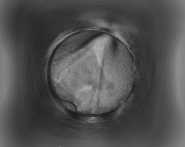 X0000086770151200705041515