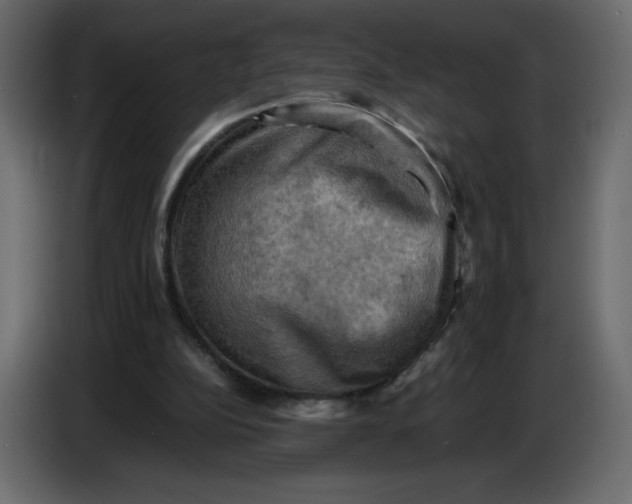 X0000086770152200705041515