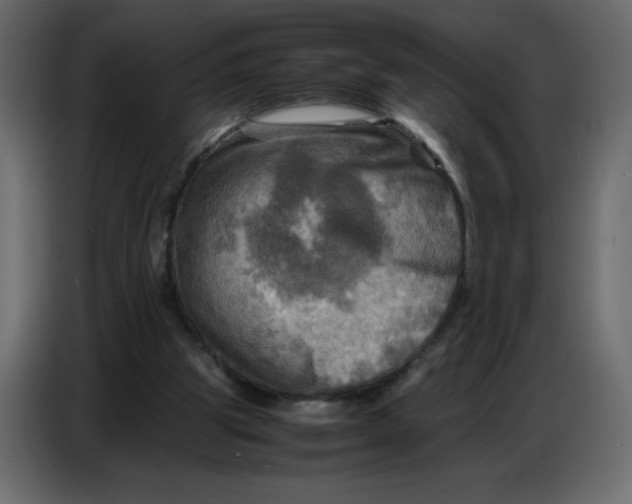 X0000086770153200705041515
