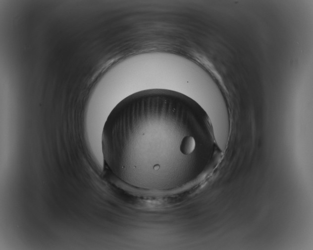 X0000086770154200705041515