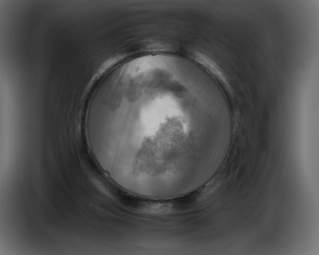 X0000086770155200705041515