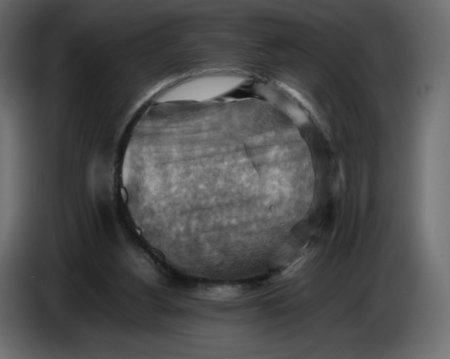 X0000086770156200705041515