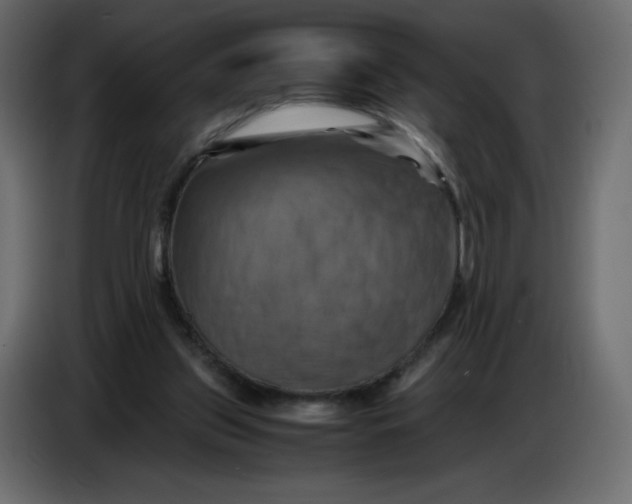 X0000086770157200705041515