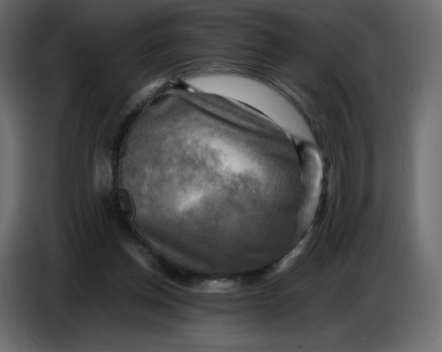X0000086770158200705041515