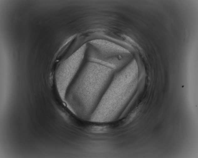 X0000086770160200705041515