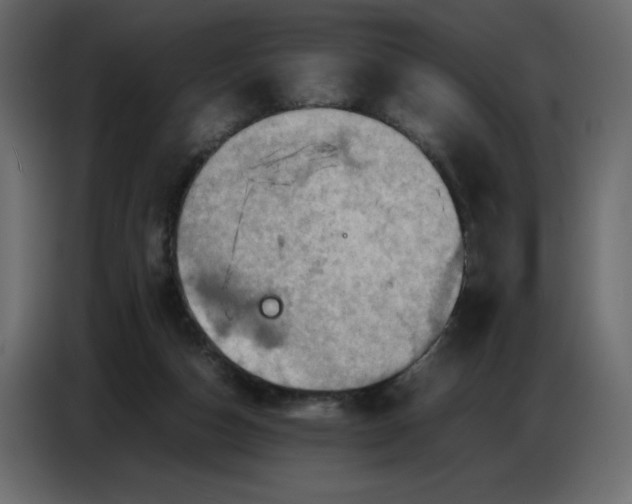 X0000086770162200705041515