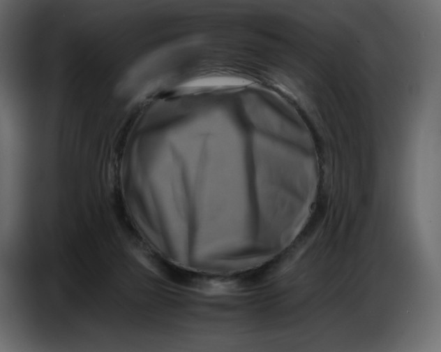 X0000086770165200705041515
