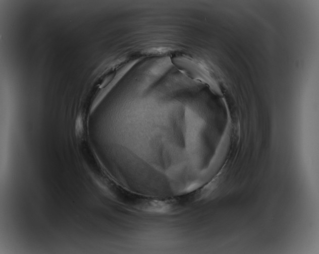 X0000086770166200705041515