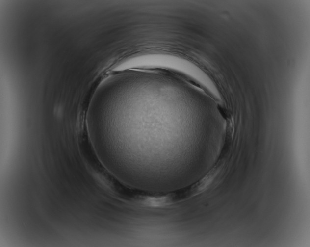 X0000086770168200705041515