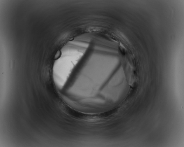 X0000086770169200705041515