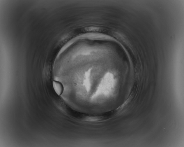 X0000086770171200705041515