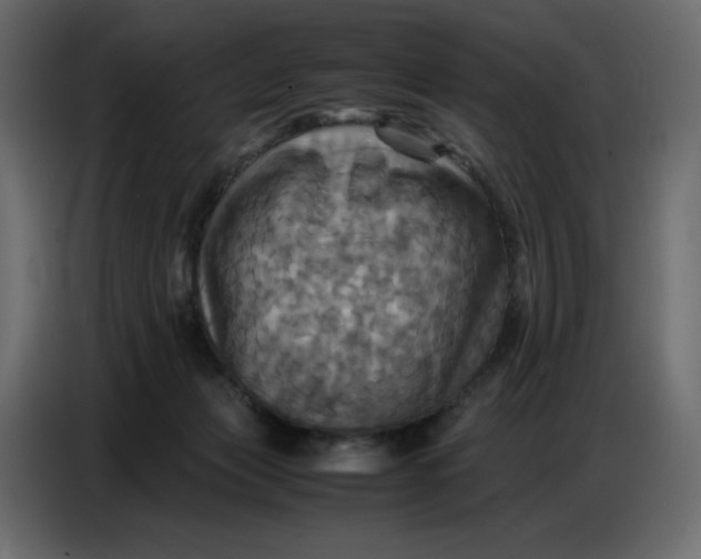 X0000086770173200705041515