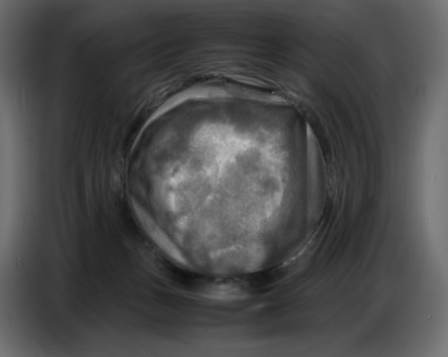 X0000086770175200705041515
