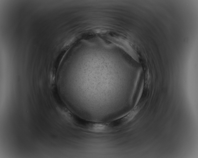 X0000086770176200705041515