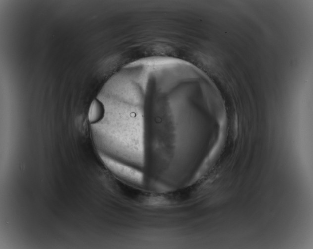 X0000086770177200705041515