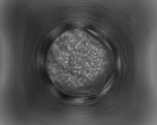 X0000086770178200705041515