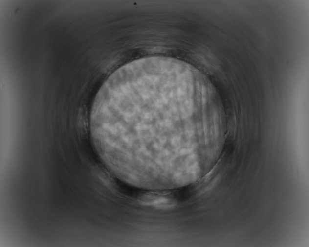 X0000086770179200705041515