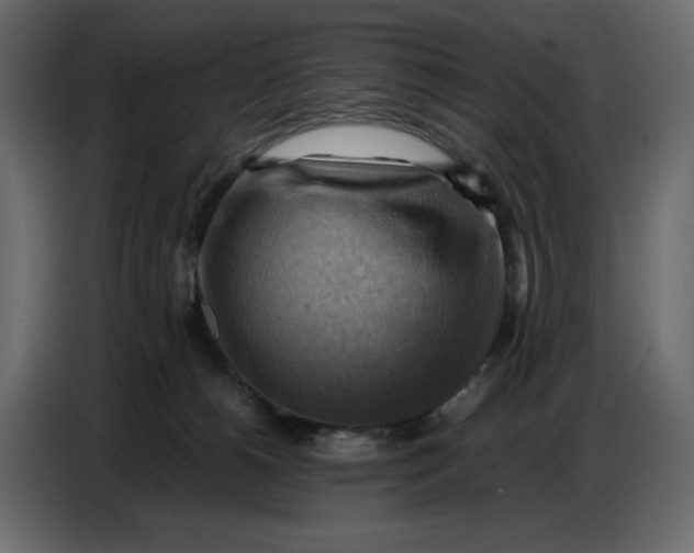 X0000086770180200705041515