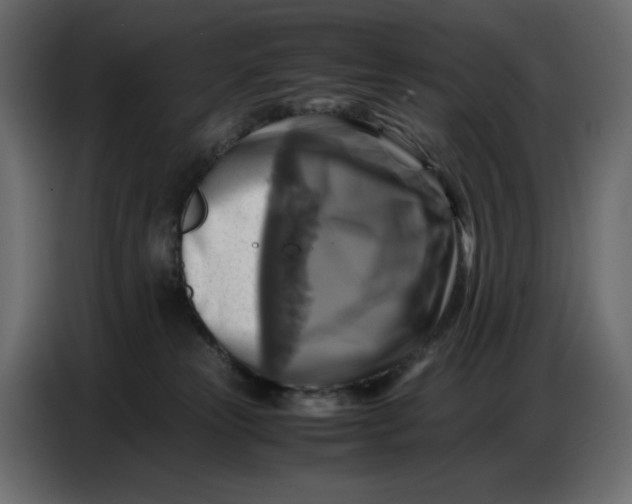 X0000086770181200705041515