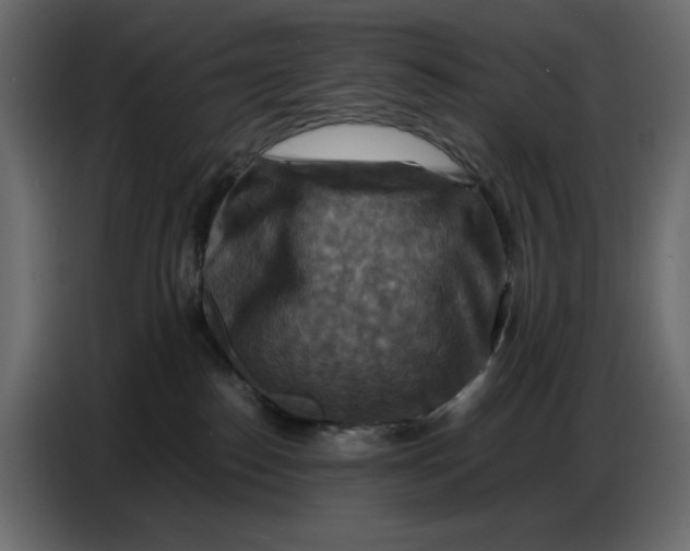 X0000086770186200705041515