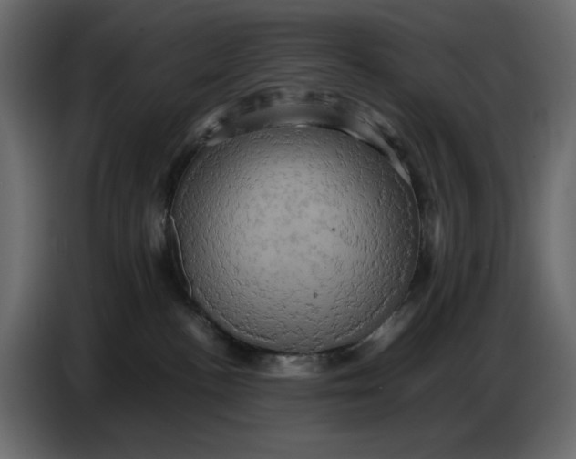 X0000086770188200705041515