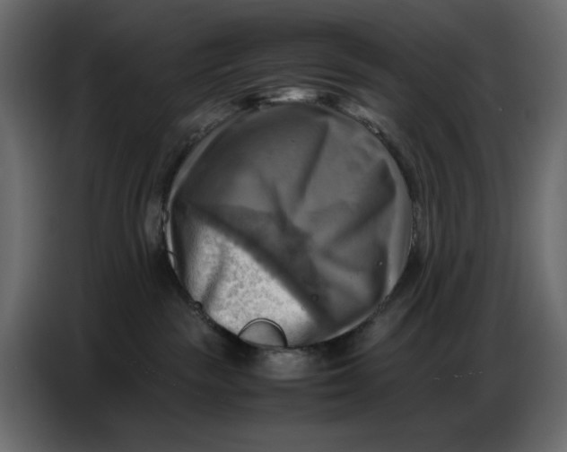 X0000086770189200705041515