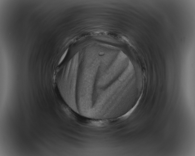 X0000086770190200705041515