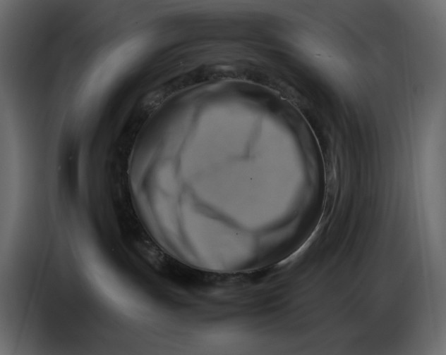 X0000086770191200705041515
