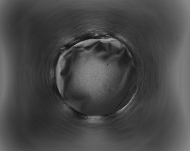X0000086770192200705041515