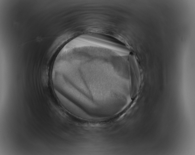 X0000086770194200705041515