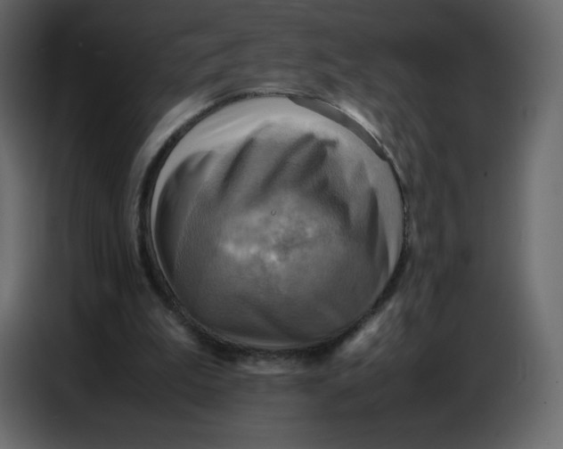 X0000086770199200705041515
