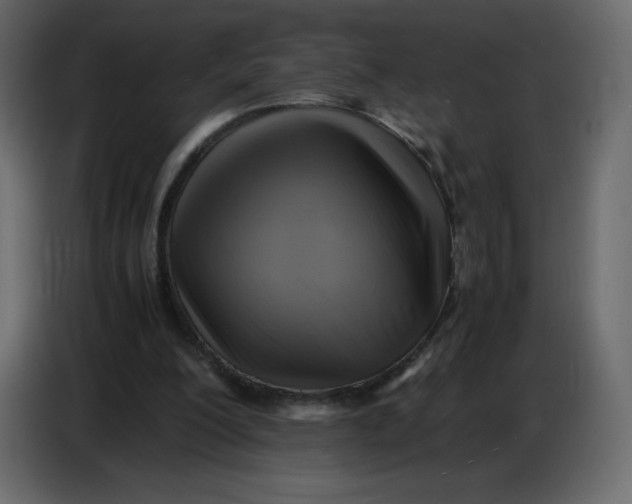 X0000086770200200705041515