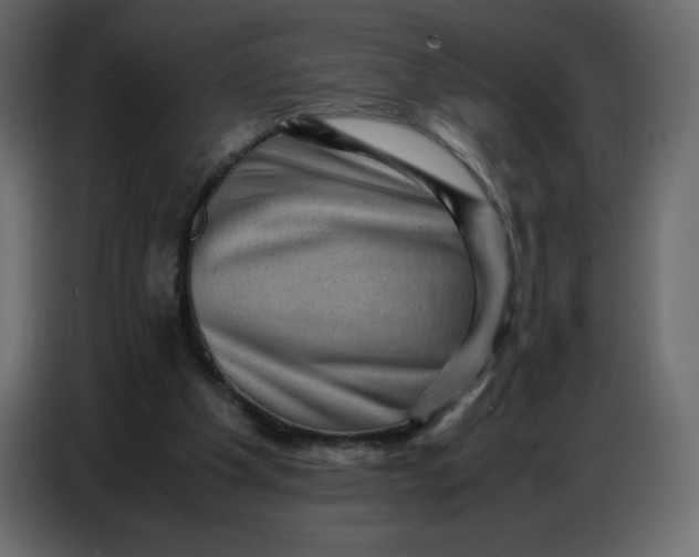 X0000086770201200705041515