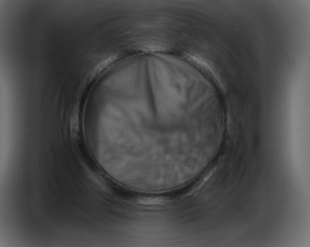 X0000086770202200705041515