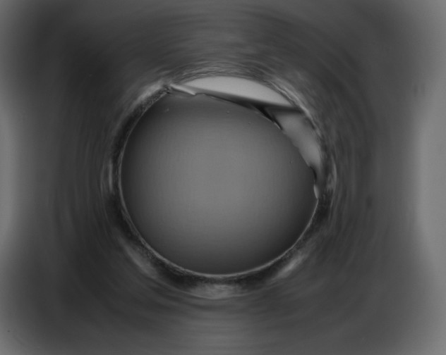 X0000086770205200705041514