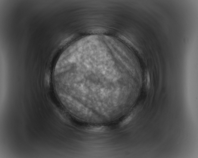 X0000086770206200705041514