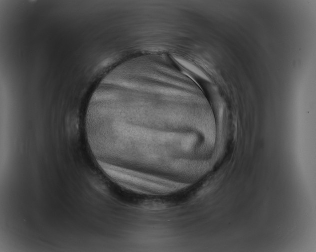 X0000086770207200705041514