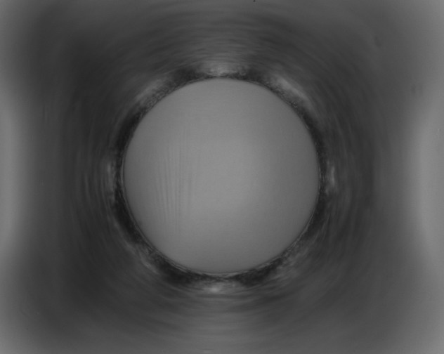 X0000086770210200705041514