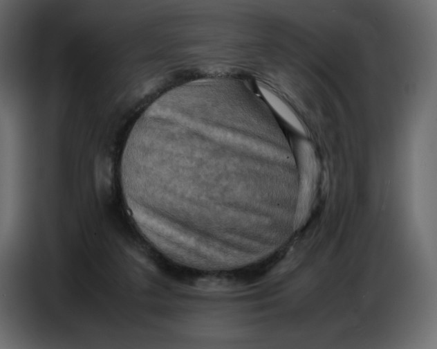 X0000086770211200705041514