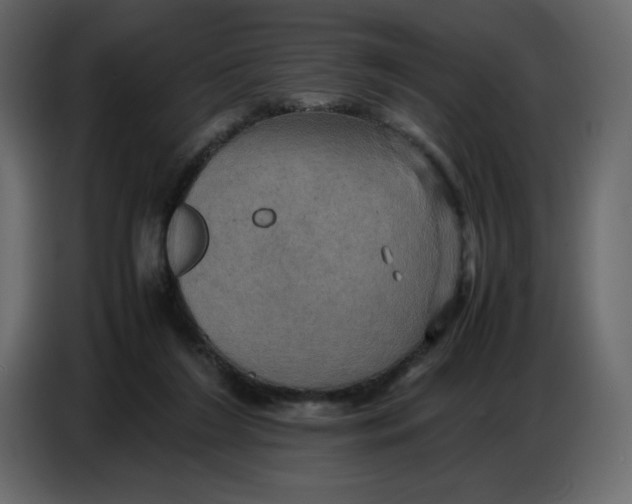 X0000086770212200705041514